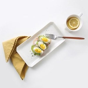텐바이텐 시라쿠스 네이처 프리즈 유광 직사각 접시, 생선접시 26cm