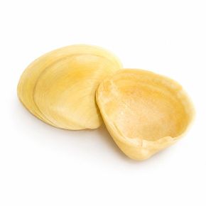 조개껍질 노랑 100g