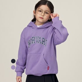 스탠다드 하버드 기모 후디 B5W008
