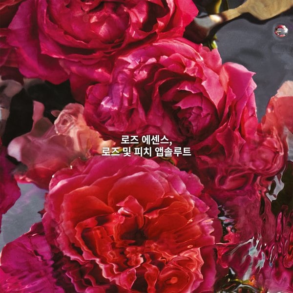 [리미티드] 홀리데이 에디션 아쿠아 알레고리아 로사로싸 EDP 세트