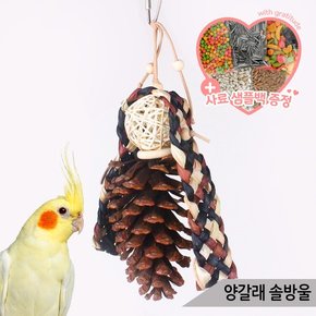 양갈래 솔방울 앵무새 장난감 등나무공 입질해소 01145