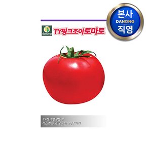 TY핑크조아 토마토 씨앗 1000립 . 내병계 큰토마토 텃밭 베란다 채소 씨 종자