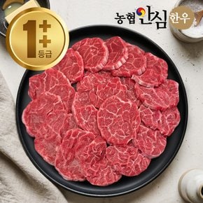 [농협안심한우] 1++등급(7이상) 한우 아롱사태(구이용) 300g