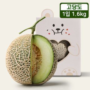 과즙가득 머스크 멜론 1.6kg 선물세트 (1입)