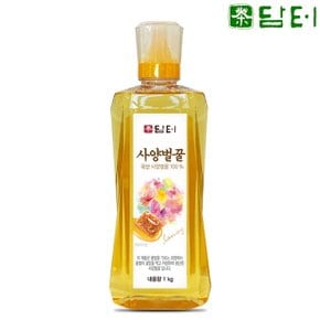 담터 사양벌꿀 1kg