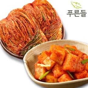 양념한가득 남도식 포기김치 1kg + 깍두기 1kg
