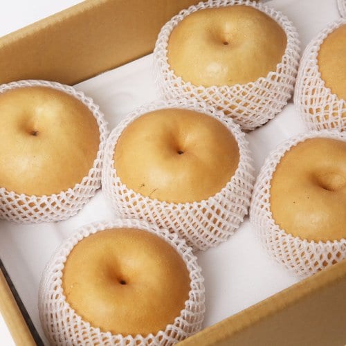 상품이미지5