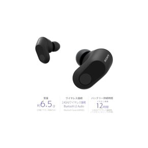 소니 게이밍 이어폰 INZONE Buds WF-G700N Fnatic 감수 / 완