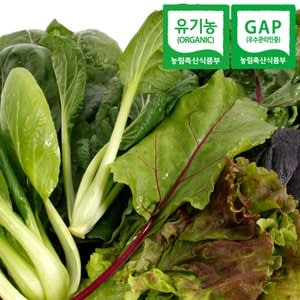 초록내음 충북충주 산지직송 GAP인증 유기농 쌈채소 800g