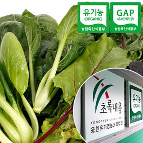 충북충주 산지직송 GAP인증 유기농 쌈채소 800g