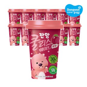 소와나무 쿨피스 에이드 자두 300ml X12개