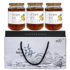 꿀청 3종 선물세트 생강총백꿀청 500g X 3개, 1세트(+선물세트)