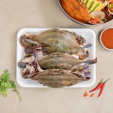 [해동][국산] 꽃게 (100g)