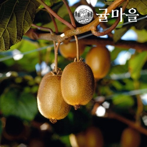 추가5이미지