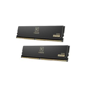 Team DDR5 6400Mhz PC5-51200 32GBx2장 64GBkit T