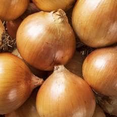 산해직송 무안 햇양파 / 흰양파 소(짱아찌용) 3kg