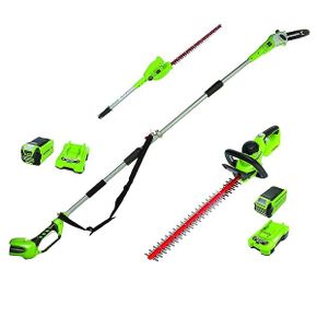 독일 그린웍스 트리머 전정기 Greenworks Pole Pruner and Telescopic Hedge Trimmer 2in1 G40PS