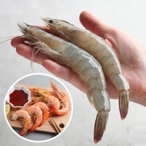 만능레시피 급냉 흰다리새우 500g