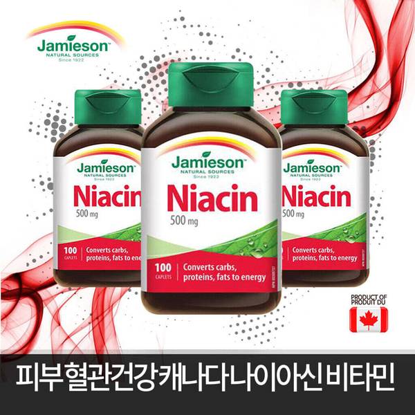 피부 혈관건강 나이아신 Vitamin B3 500 mg 100정