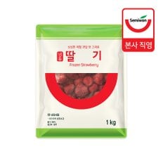 [세미원] 냉동 딸기 1kg x 2팩