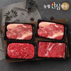 [농협안심한우] 1등급 구이정육 1호 선물세트1.2kg (등심300g+등심300g+불고기300g+국거리300g)