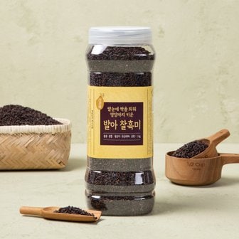  발아 찰흑미 1kg