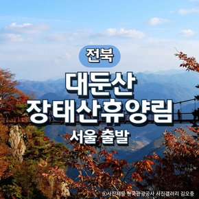 KTX대둔산·뿌리공원·장태산 휴양림 기차여행(서울출발)