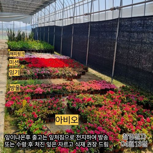 추가이미지4