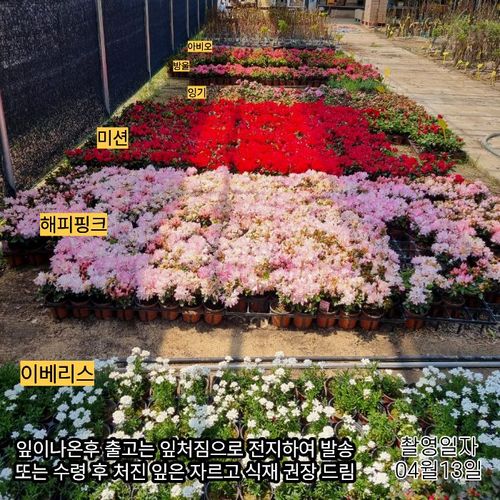 추가이미지5