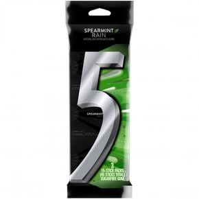 Five Gum5  5  껌  스피어민트  레인  슈가  프리  츄잉껌  15ct  3팩