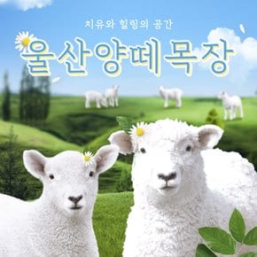 [울산] 양떼목장(울산가볼만한곳!~)(~26.12.31)