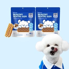 강아지 헬시 덴탈껌 개껌 치석제거껌 애견간식 유산균 하드타입 구강+치아, 120g 2박스