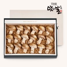 [1/13(월) 순차출고]무농약 참송화버섯 프리미엄 선물세트 800g/19~21개