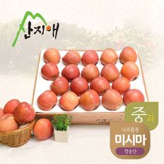 산지애 알뜰 못난이사과(중과) 4.5kg 1box / 당도선별, 청송산 미시마..[31755042]