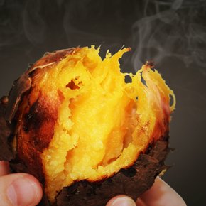 2026년 햇 소리팜 해남 꿀고구마 10kg (중상)