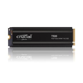 마이크론 T500 히트싱크 M.2 NVMe 아스크텍 (1TB)