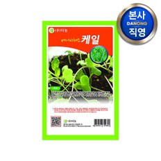 베이비 (샐러드) 케일 씨앗 10g . 무농약 무소독 베란다 텃밭 채소 씨 종자