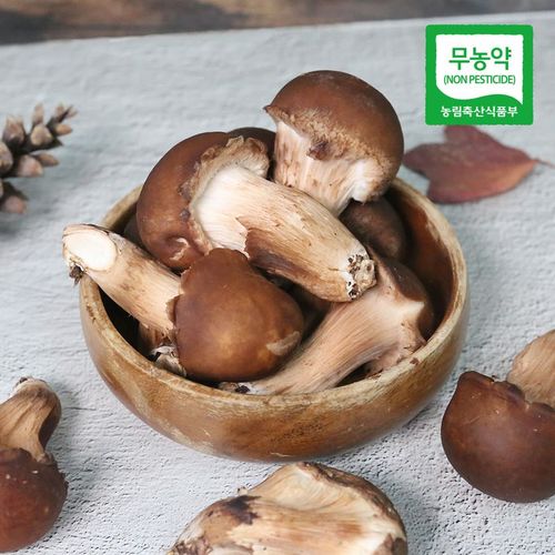 상품 이미지 1