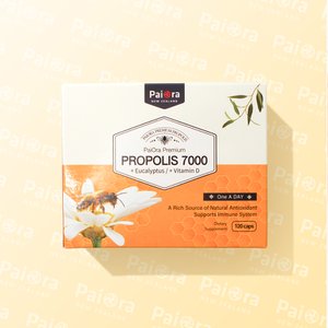 파이오라 프리미엄 뉴질랜드 프로폴리스 7000mg 120캡슐 유칼립투스 비타민D 아연 함유