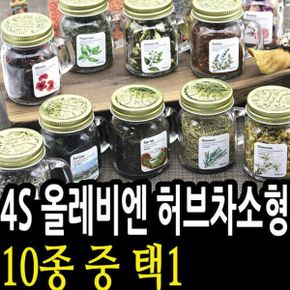 TEA 피치 티백 음료 허브차 로네펠트 커피 홍차 주