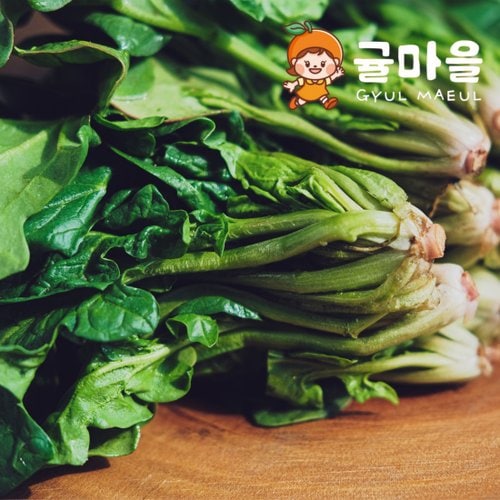 추가1이미지
