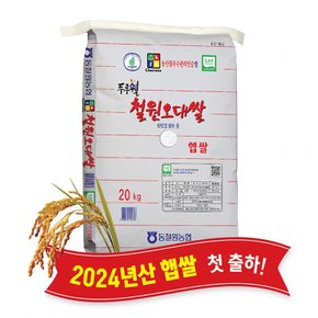 (강원S)(당일도정) 2024년산 동철원농협 철원오대쌀 20kg, 햅쌀