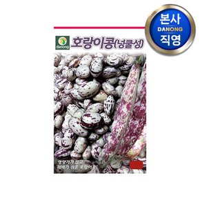 호랑이 강낭콩 (넝쿨성) 씨앗 30g . 채소 텃밭 파종 재배 씨 종자