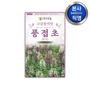 풍접초 혼색 씨앗 0.5g(200립) . 족두리꽃 백화채 클레오메 관상 꽃씨 종자