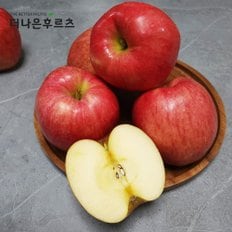 특품 고당도 신선 국내산 사과 1.5kg 3kg 내외 가정용 선물용
