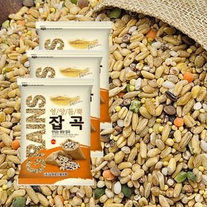 [2025년산] 영양 혼합잡곡 10곡 1.5kg(500g/3개)