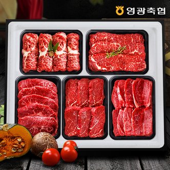  [냉장][영광축협]보리애 한우 구이세트6호 3.0kg(등심,안심,채끝,특수부위,갈비살 각600g,1등급이상)[아이스박스/전용백]