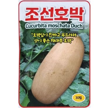  동원 조선호박씨앗 30립 호박잎 부드럽고 맛좋은 종자