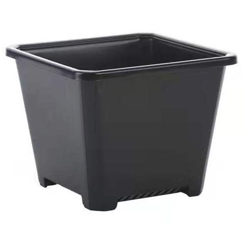 이미지1