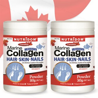  뉴트리돔 캐나다 마린 콜라겐 헤어스킨네일 분말 303g x2병